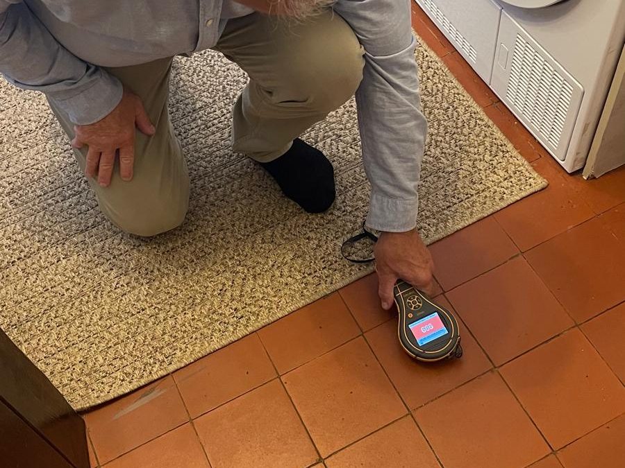 Surveyor investigating a specific defect with a moisture meter at floor level